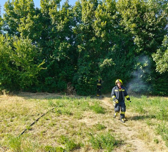 Ein Feuerwehrmann auf einer Wiese, im Hintergrund kommt Rauch aus dem Wald