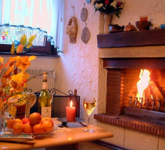 Ein gemütlich eingerichtetes Wohnzimmer mit einem offenen Kamin mit brennenden Holzscheiten