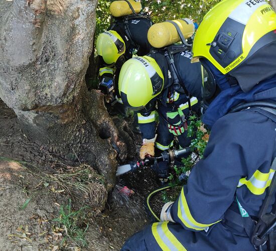 Ein Feuerwehrmann mit Atemschutzgerät löscht den Wurzelstock