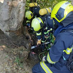 Ein Feuerwehrmann mit Atemschutzgerät löscht den Wurzelstock